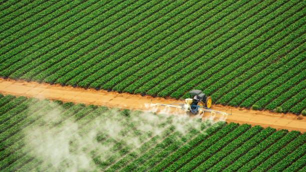 Best Best Pest Control Companies  in Iva, SC